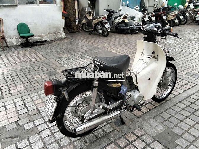 xe cup 50cc
