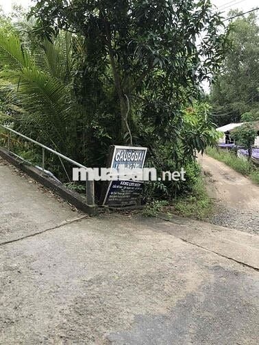 Gia đình có đất vườn cần bán, thương lượng thiện chí
