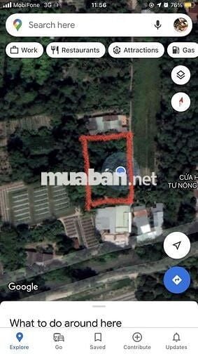 Đất cây lâu năm, rộng rãi phù hợp nhà vườn