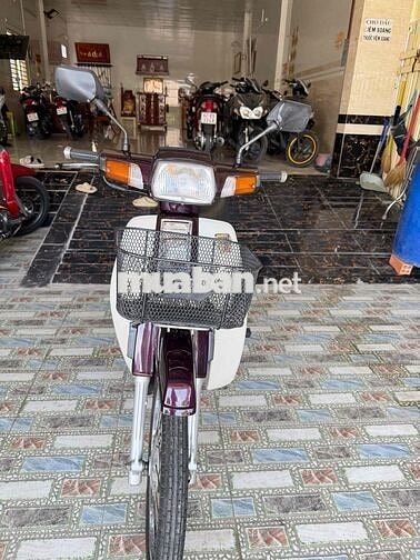 Honda Dream II Nâu đỏ Nhập thùng Zin