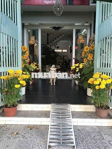🏡 CHO THUÊ NHÀ NGUYÊN CĂN MẶT TIỀN ĐƯỜNG LỚN KDC AN PHÚ HƯNG 🏡