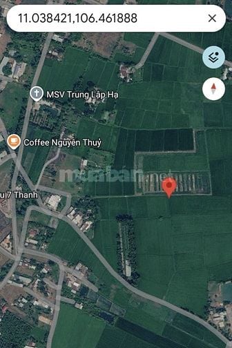 650k/m2 !!! BÁN 1,114ha (11.140 m2) đất xã Nhuận Đức, TP.HCM