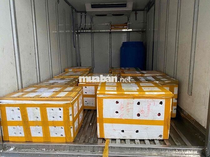 TUYỂN 2 NHÂN VIÊN GIAO NHẬN LƯƠNG CAO [BAO ĂN Ở]