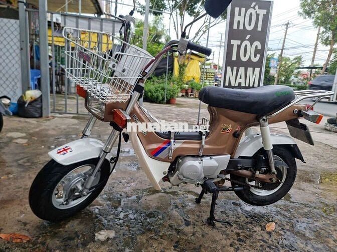 HALY CHA S Nâu, Trắng 1960 km