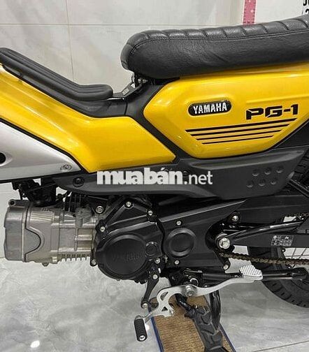 PG-1 2024 , BSTP chính chủ
