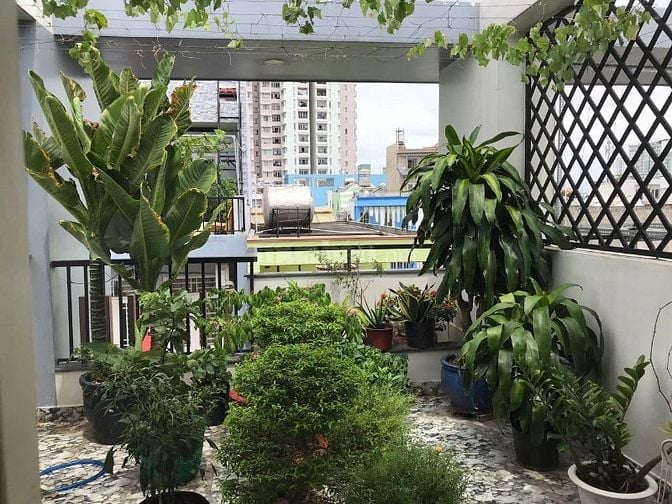 Nhà 4 Người Sống Lý Tưởng trên HCM– Nhà Riêng 210m² bán gấp giá TL 