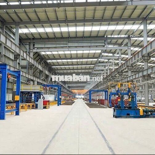 Cho thuê kho xưởng 1700m2- 2050m² -5000m2-10.000m2  Bến Lức Long An