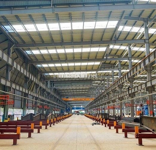 Cho thuê kho xưởng 1700m2- 2050m² -5000m2-10.000m2  Bến Lức Long An