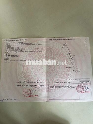 Bán đất phường Bình cơ (củ xã Bình mỹ) TPHCM