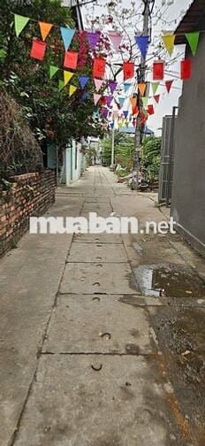 ❤️🔥Bán Đất Tặng Nhà 55m² Tổ 9 Quang Minh - Mặt Tiền 10m, Đường Thông 🚘 