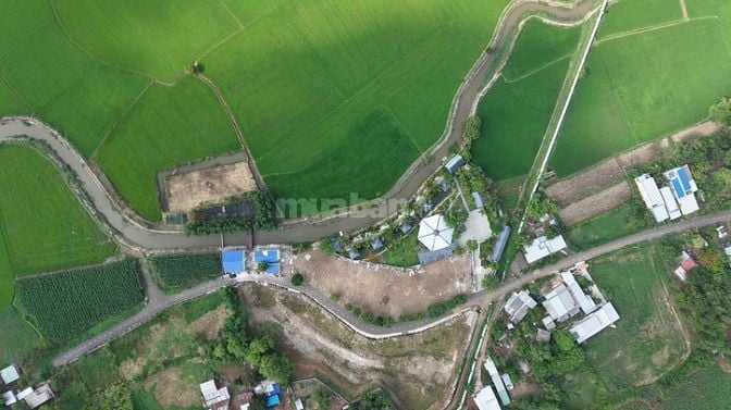 CHỈ TỪ 350 TRIỆU SỞ HỮU LÚA FARM STAY - VIEW CÁNH ĐỒNG