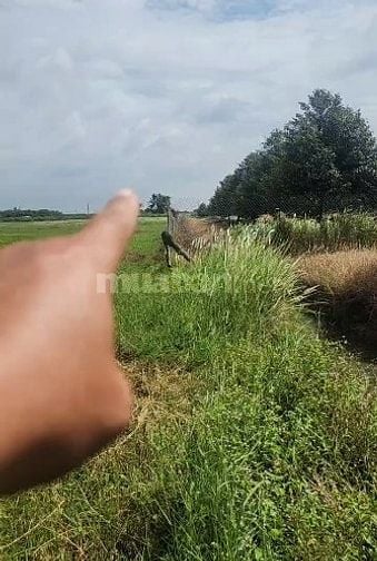 [L2682*] Đầu Tư Sinh Lời Khủng Từ 1.8Ha Đất Sát Chợ Truông Mít - 5.x T