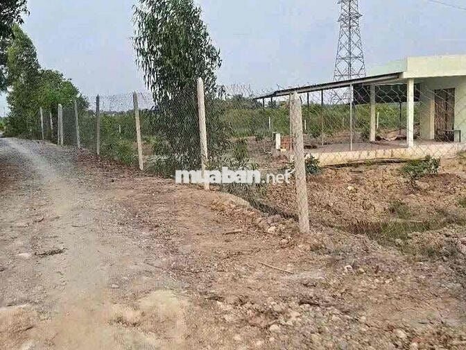 Bán 1000m2 đất vườn có 200m2 thổ chỉ 920tr Bến Lức