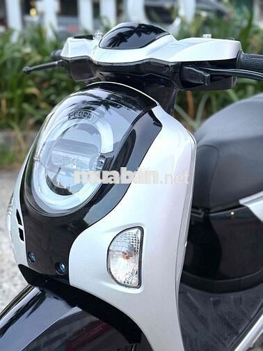 Honda Scoopy 2025 Indonesia Bạc 5000 km