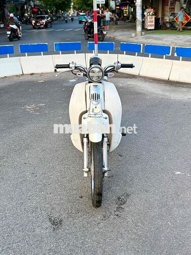 Honda Cup Aly New 50cc 2022 Trắng
