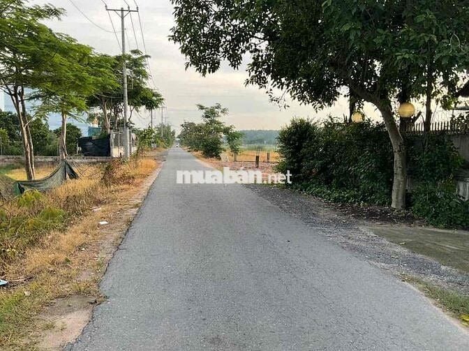 NHÀ ĐẤT BÁN GẤP - 624m2 - ĐẤT Ở 200m2 - NGANG 12m - GIÁ 9,9 Tỷ