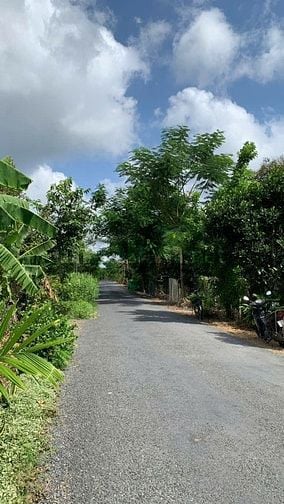 Chính chủ bán 5,410 m2 đất Sầu Sáu Hữu tại cồn Tân Phong - Tiền Giang