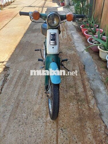 Honda 81 50cc Xanh