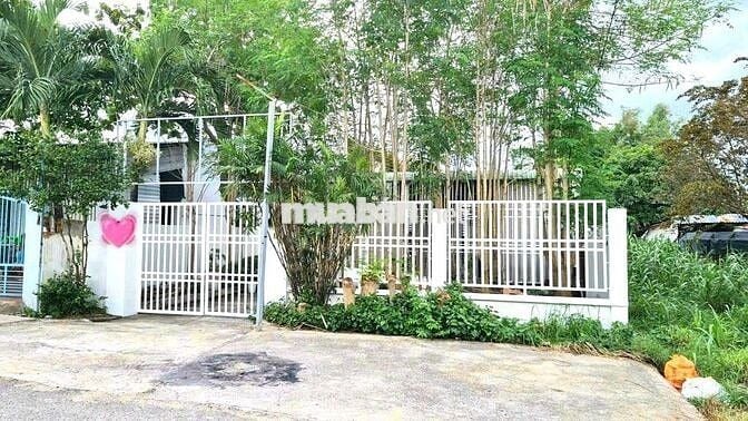 312m2 thổ cư/ 600tr Đường Bầu Mây, Trảng Bàng SHR xây tự do