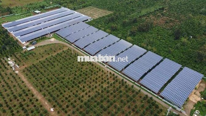 TUYỂN CÔNG NHÂN NUÔI GÀ