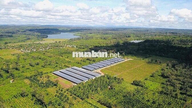 TUYỂN CÔNG NHÂN NUÔI GÀ