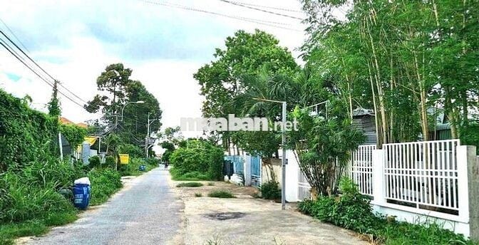 312m2 thổ cư/ 600tr Đường Bầu Mây, Trảng Bàng SHR xây tự do