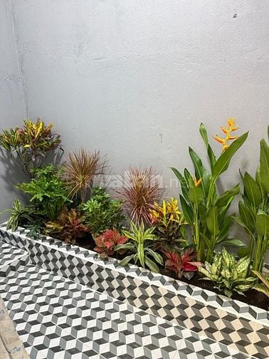 Bán nhà đẹp siêu phẩm Bình Tân 