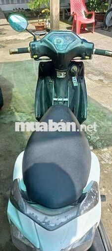 Suzuki Axelo 125cc Xanh trắng Tốt