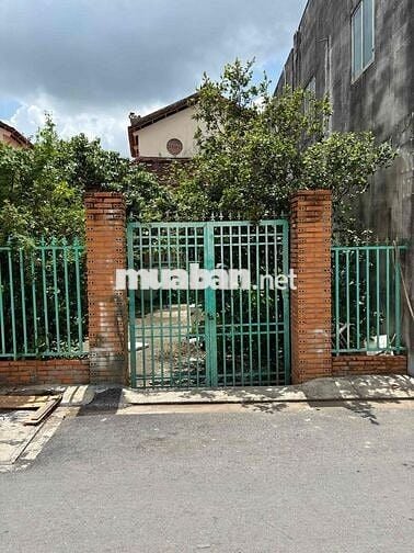 Cho thuê nhà SÂN VƯỜN giá 12tr ( mặt tiền hẻm xe hơi)