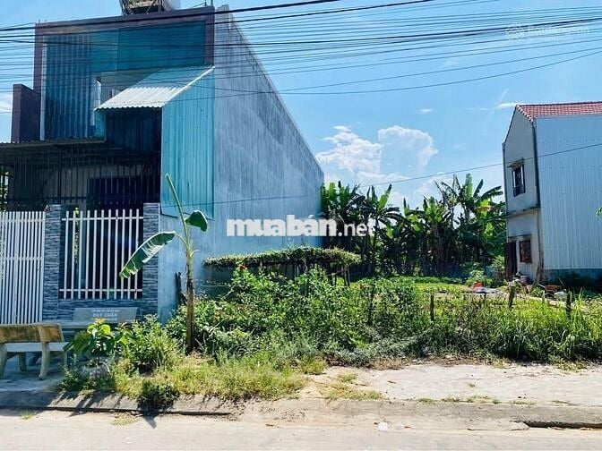 Chính chủ bán nhanh 161m2 giá 650 triệu đường Tỉnh Lộ 7 xã Thái Mỹ shr