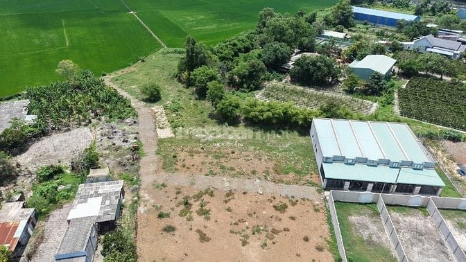 HIẾM CÓ KHÓ TÌM - LÔ ĐẤT PHƯỚC HỘI 80M² THỔ CƯ - GIÁ DƯỚI 1 TỶ