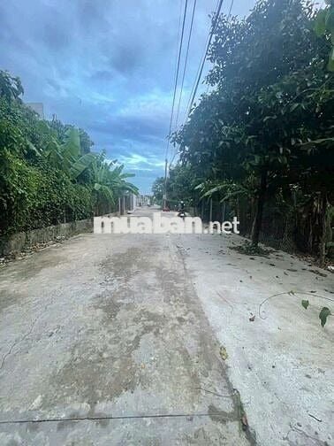 ĐẤT ĐẸP GIÁ RẺ BÌNH NHÂM 30 ,LÁI THIÊU ,TP HCM 