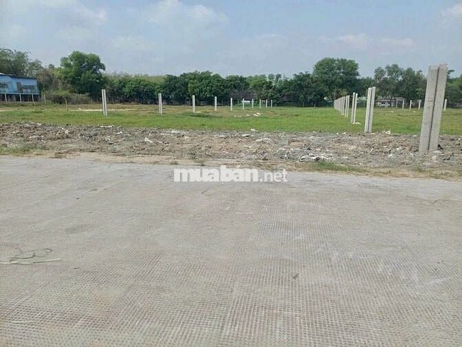 CHỦ NGỘP BÁN GẤP ĐẤT VƯỜN 30x38= 1141M2 THỔ CƯ SHR GIÁ 690 TRIỆU