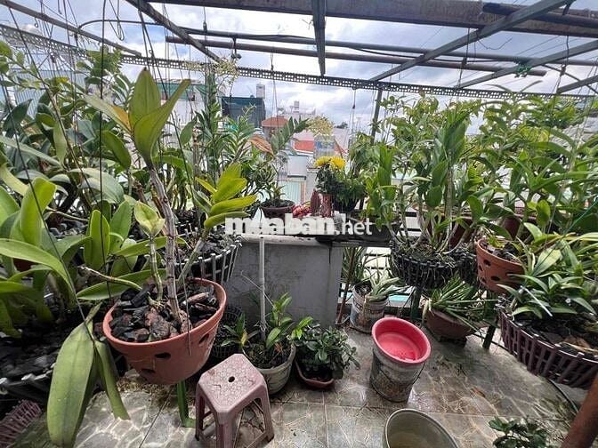 Hot, Bán gấp Nhà 3 Tầng mới đẹp Gò Xoài, 40m2, hẻm xe hơi, chỉ hơn 3ty