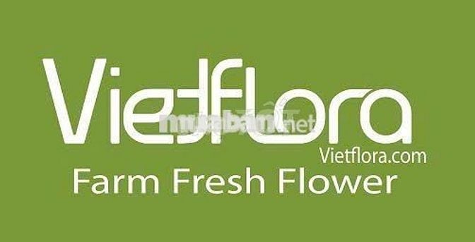 Cần tuyển nam nhân viên giao nhận hàng hóa