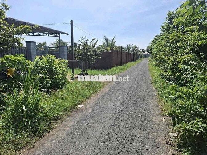 659TR có ngay lô đất 153m2 phù hợp xây nhà trọ