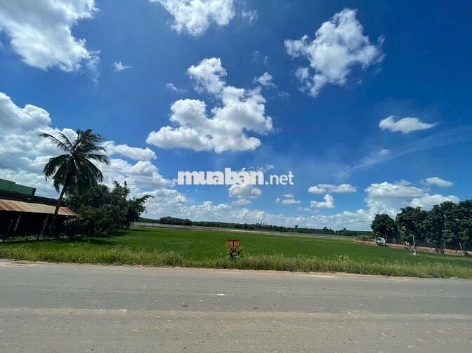 🎯 Đất lúa có 330m2 THỔ CƯ, không đóng lãi NH đc, 100tr/m(thương lượng)