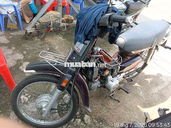 Honda Dream II 2008 Nâu