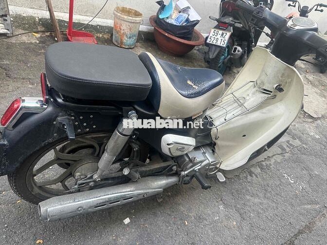 Cub 50cc 2022