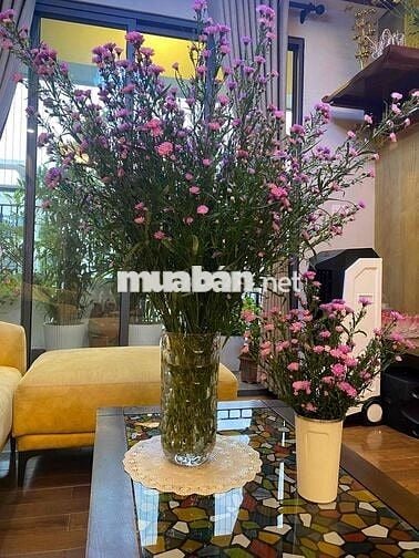CHO THUÊ PHÒNG KHÉP KÍN TẠI ĐƯỜNG GIÁP BÁT    - Phòng khép kín tại địa