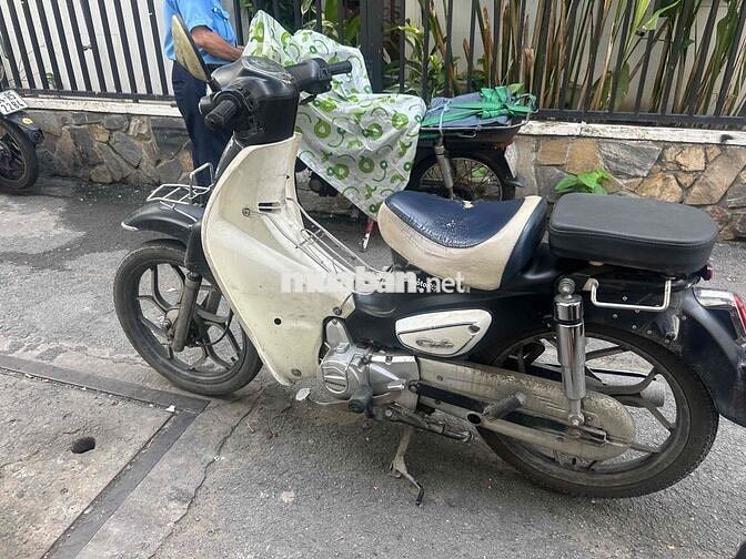 Cub 50cc 2022
