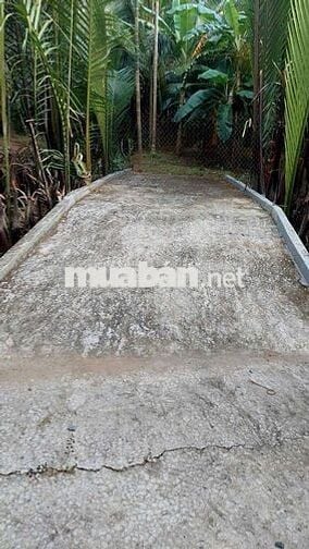 Đất vườn thổ cư xã Mỹ Thạnh huyện Giồng Trôm tỉnh Bến Tre
