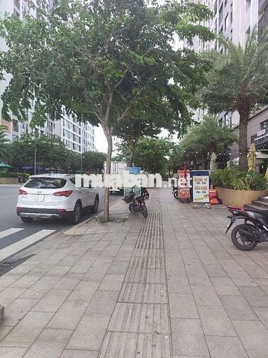 Chính chủ cho thuê NHÀ MẶT TIỀN 8TR• ShopPicity trần cao 6m• sát GV