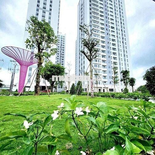 🔥 CHÍNH CHỦ CẦN BÁN GẤP CĂN HỘ 🔥-52m2-2PN,1WC-VSIP 1-BInh Duong