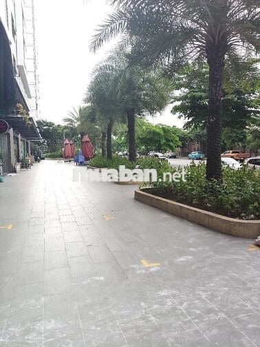 Chính chủ cho thuê NHÀ MẶT TIỀN 8TR• ShopPicity trần cao 6m• sát GV