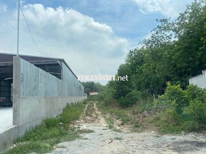 Đất Hòa Lợi 2 mặt tiền đường nhựa, Diện tích 15*120m