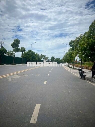 Cho thuê kho xưởng Cự Khối-Bát Khối-250m,mt 12m. mặtđường 25m, vỉa hè.