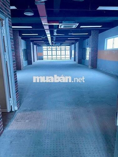 🔥 CHO THUÊ TÒA NHÀ MẶT TIỀN LỚN – LÊ VĂN KHƯƠNG, QUẬN 12