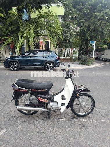 Dream Deahan Hàn Quốc biển 43