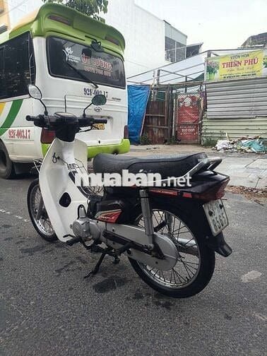 Dream Deahan Hàn Quốc biển 43